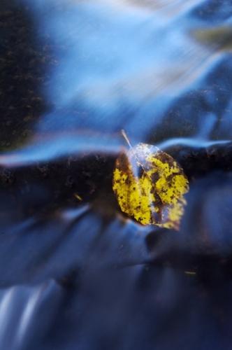 Abstract;Boulder;Cascade;Cascading;Cataract;Chute;Cool;Creek;Falling;Falls;Flow;Flowing;Foliage;Geological;Geology;Leaf;Leafy;Leaves;Patterns;Pouring;Reflection;Reflections;Rock;Rock formations;Rocks;Shapes;Spilling;Spray;Stone;Stream;Striation;Textures;Vein;Water;Waterfall;Waterfalls;Wet